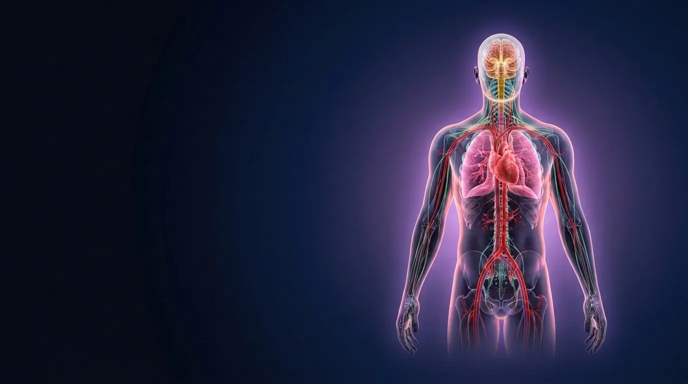 Ilustración de MEDICAi: estudiante de medicina con atlas y tutor inteligente
