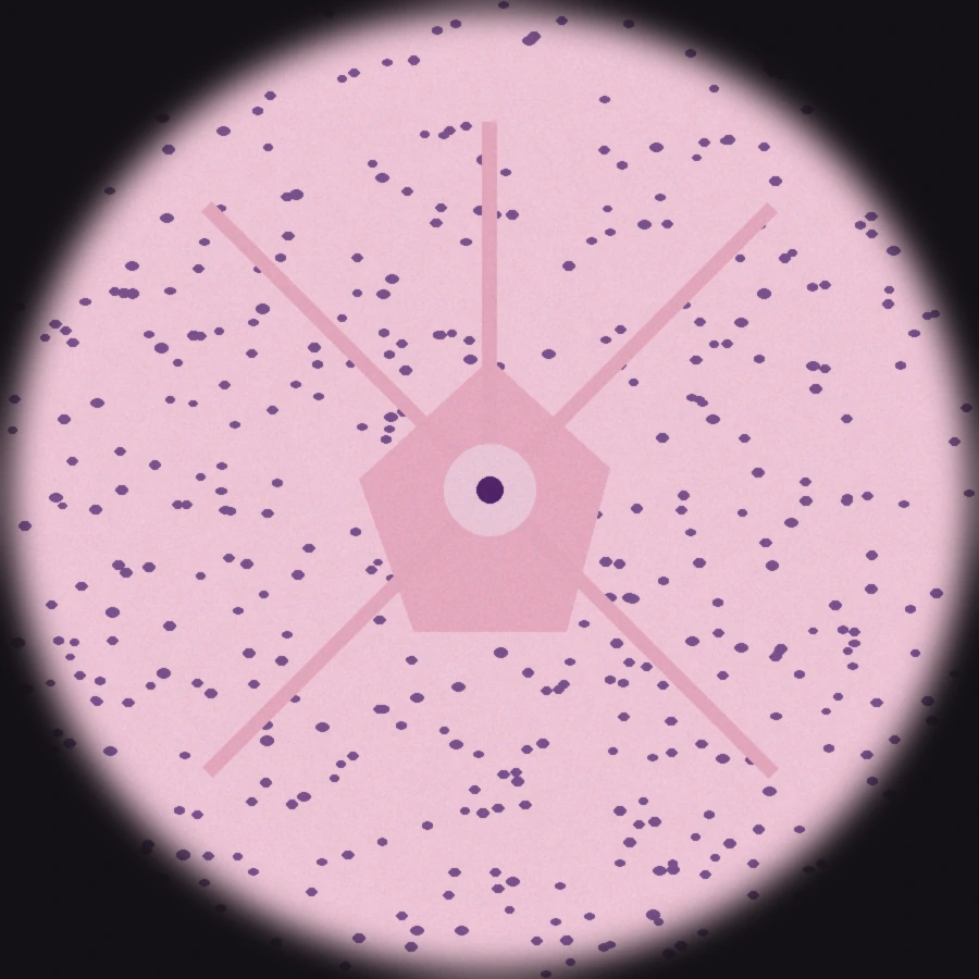 Tejido nervioso al microscopio: neuronas y células de la glía