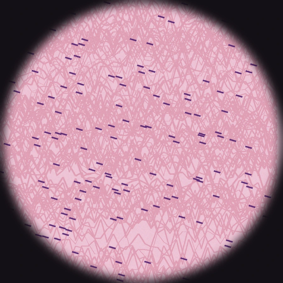 Tejido conectivo al microscopio